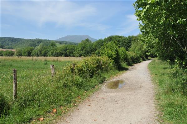 Chemin Nivelle