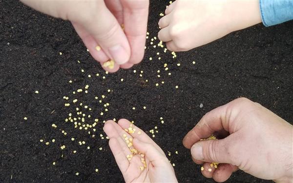 Atelier Découverte du piment Cambo-les-Bains Pays basque
