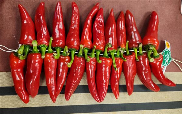 20231121_153530 - 2024@Kultur Piments