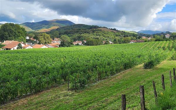 Atelier Découverte du piment Cambo-les-Bains Pays basque