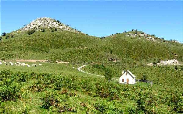 Bosmendietako olaberria 