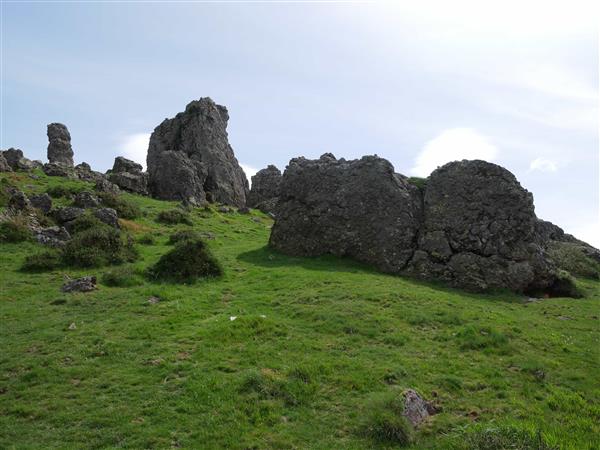 Buluntza