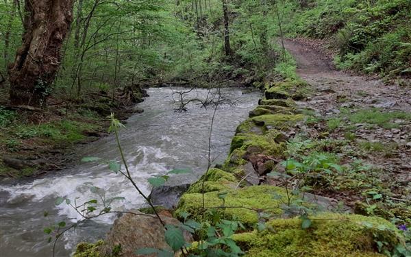 Circuit Marki Mendionde 