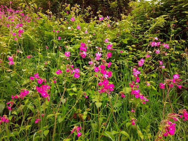 Circuit Marki Mendionde 