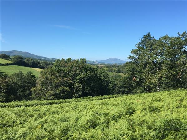 Colline bergerie3 @courdurie