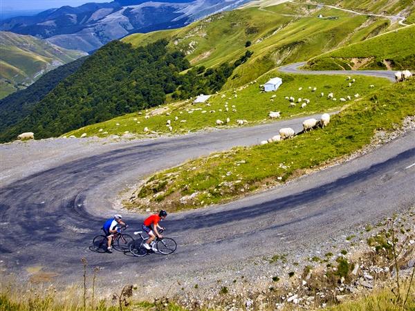 Ispeguy2-CDT-ZIKLO-2