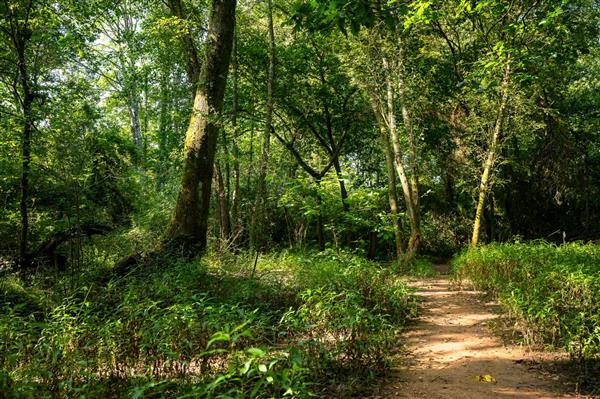 Muséum - Plaine d'Ansot - Pack OT - 21 © Mathieu Prat