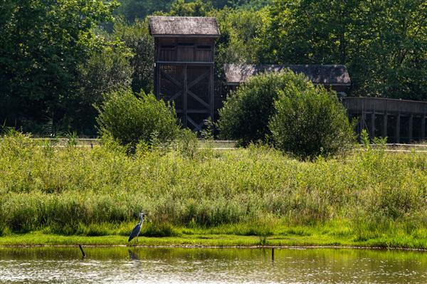 Muséum - Plaine d'Ansot - Pack OT - 25 © Mathieu Prat