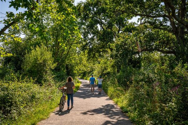 Muséum - Plaine d'Ansot - Pack OT - 8 © Mathieu Prat