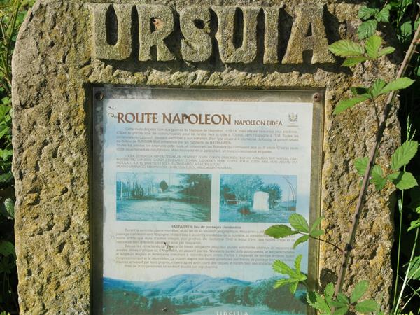 Ursuia