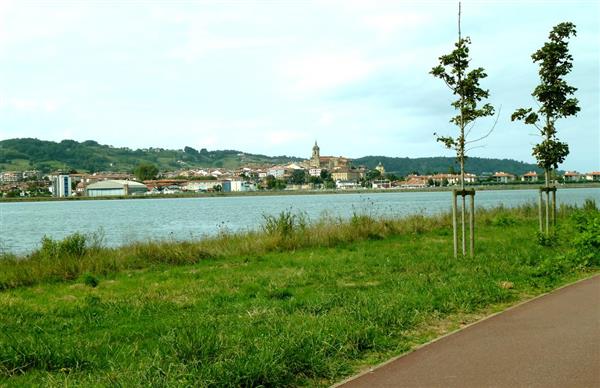 Rive