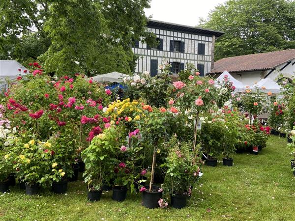 rendez vous aux jardins